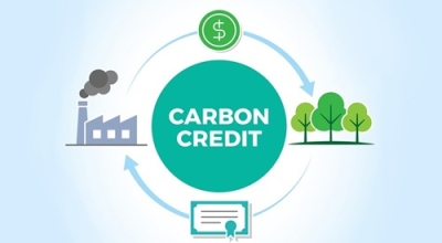 Tín chỉ carbon là gì?
