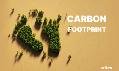 Carbon Footprint là gì?
