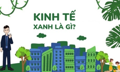 Kinh tế xanh là gì? Xu hướng phát triển bền vững
