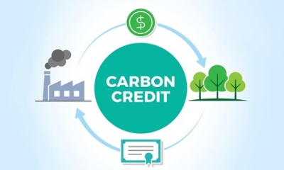 Tín chỉ carbon là gì?