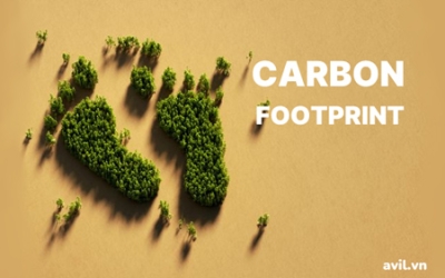Carbon Footprint là gì?