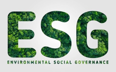Tiêu chuẩn ESG là gì?