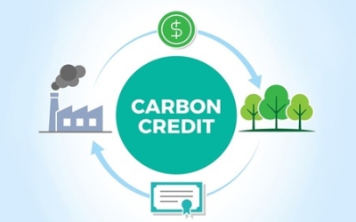 Tín chỉ carbon là gì?