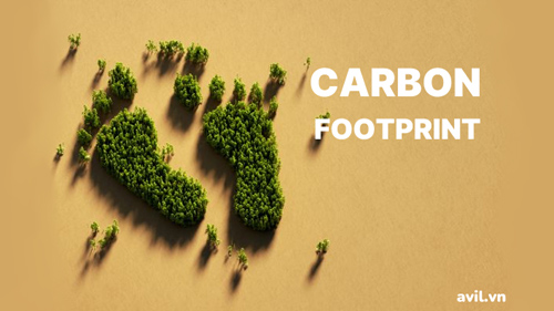 Carbon Footprint là gì?