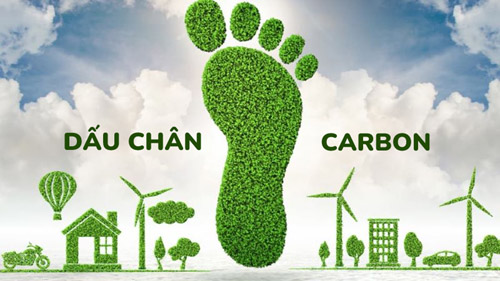 Dấu chân Carbon