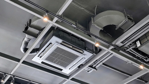 Cách giảm Carbon Footprint cho doanh nghiệp