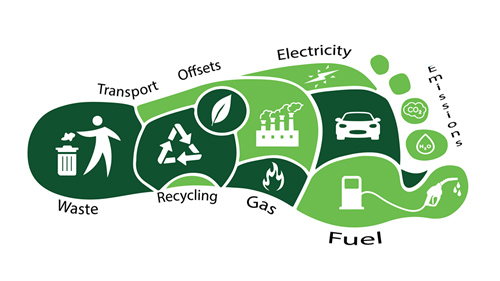 Cách giảm Carbon Footprint cho doanh nghiệp