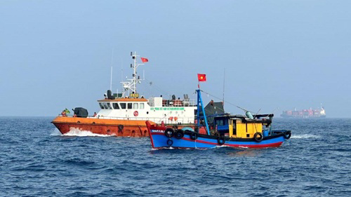 Thông tin thị trường Việt Nam và Quốc Tế về bộ trao đổi nhiệt hàng hải